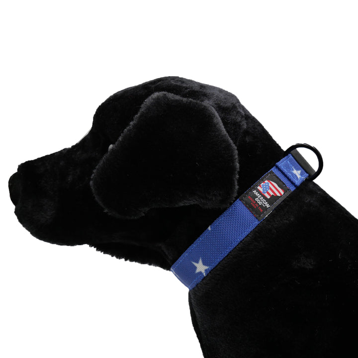 Black dog with star print collar