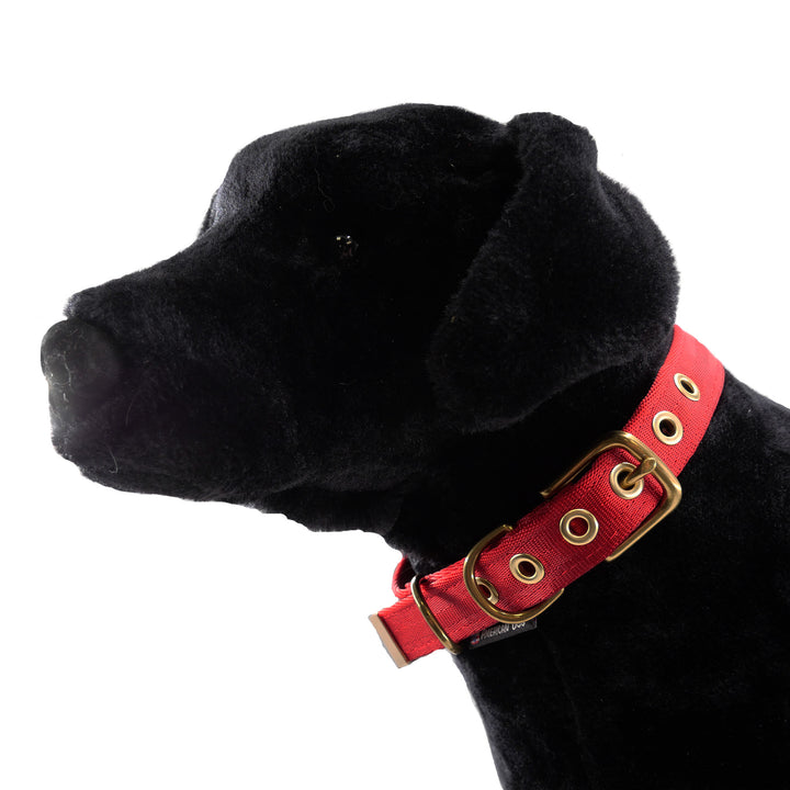 Red colored seatbelt dog collar with brass hardware