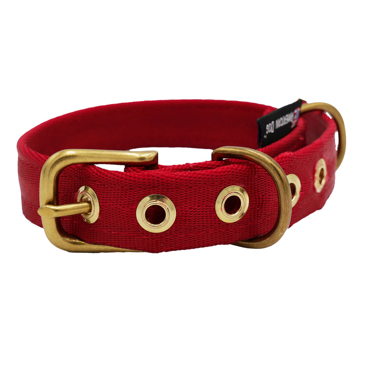 Red colored seatbelt dog collar with brass hardware