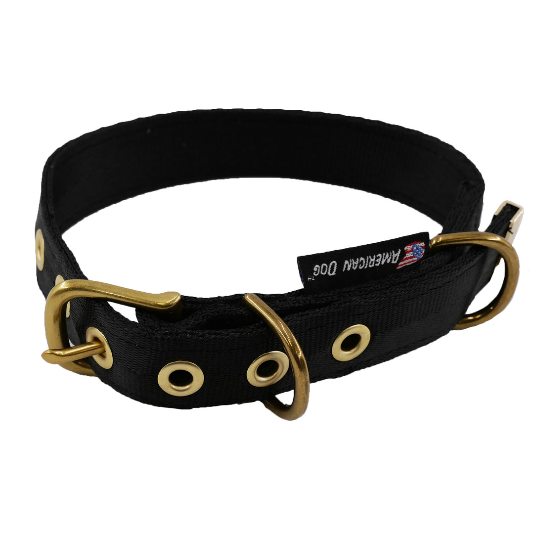 Black colored seatbelt dog collar with brass hardware