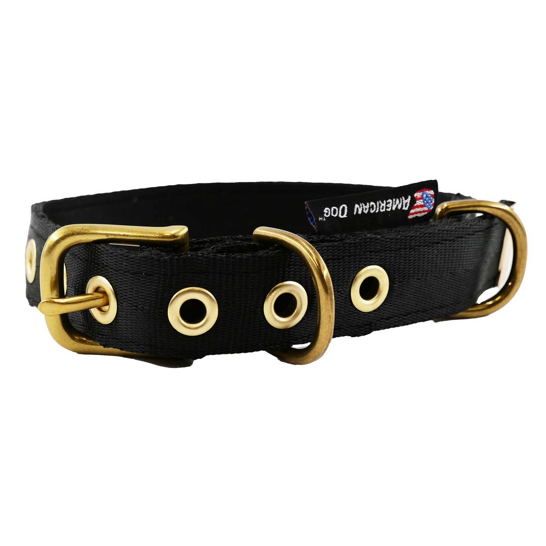 Black colored seatbelt dog collar with brass hardware