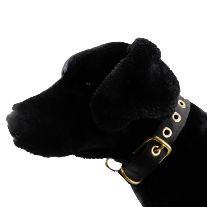 Black colored seatbelt dog collar with brass hardware