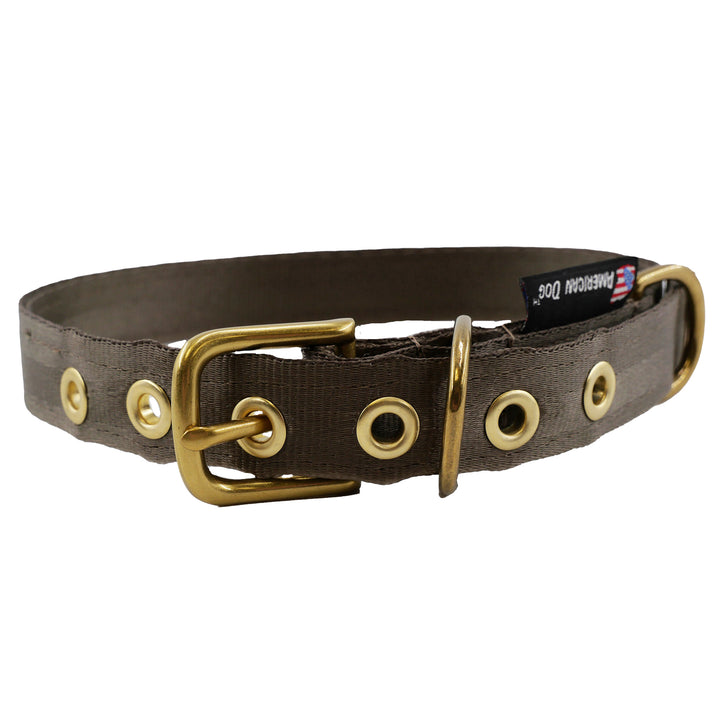 Coyote colored seatbelt dog collar with brass hardware
