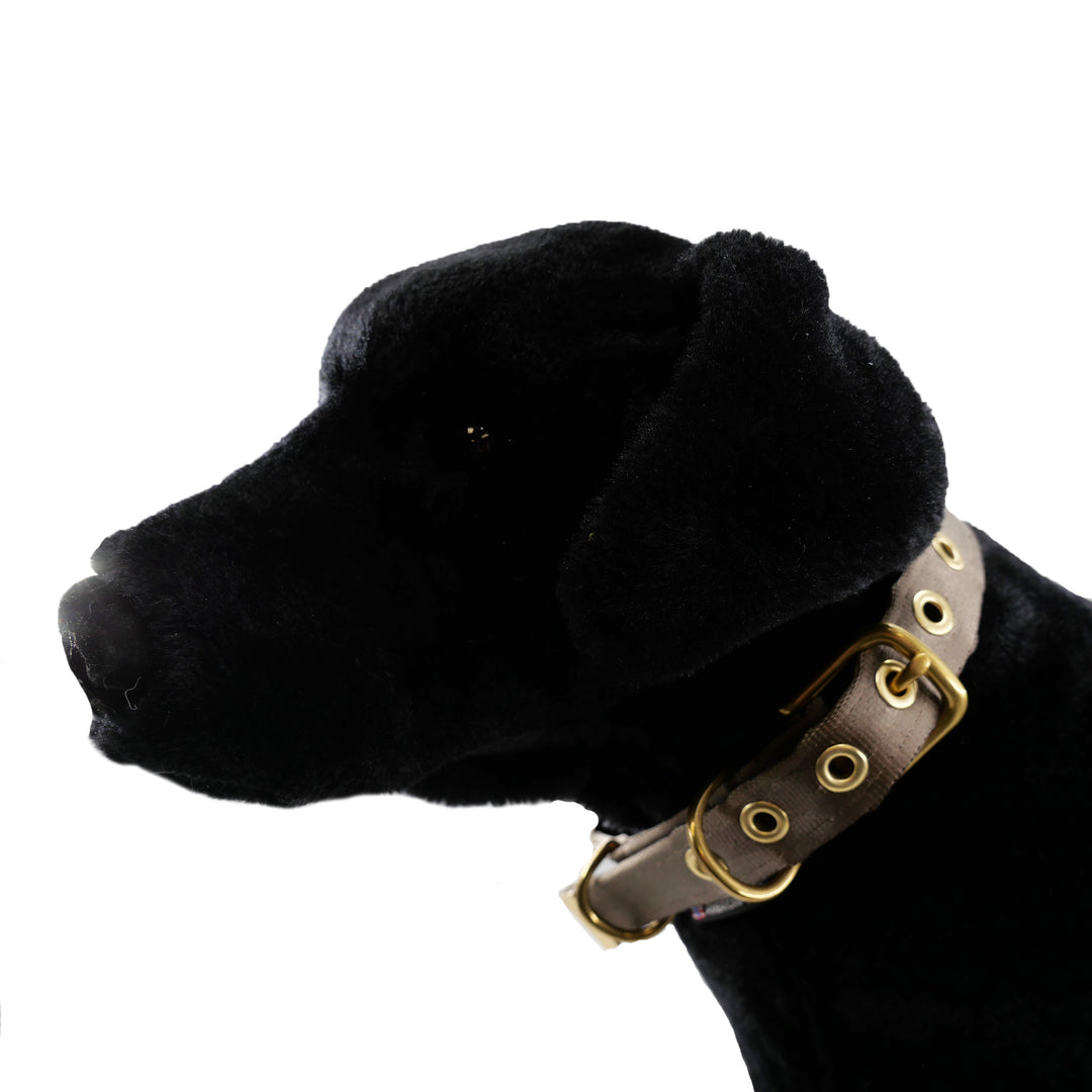 Coyote colored seatbelt dog collar with brass hardware