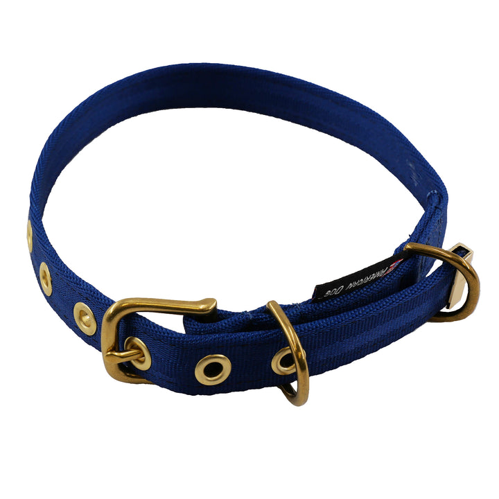Navy colored seatbelt dog collar with brass hardware