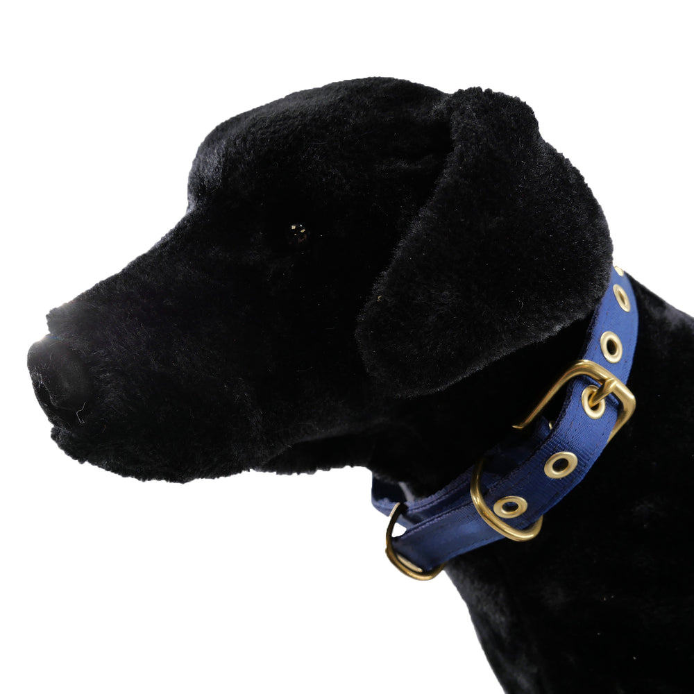Navy colored seatbelt dog collar with brass hardware