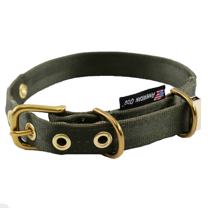 Olive colored seatbelt dog collar with brass hardware