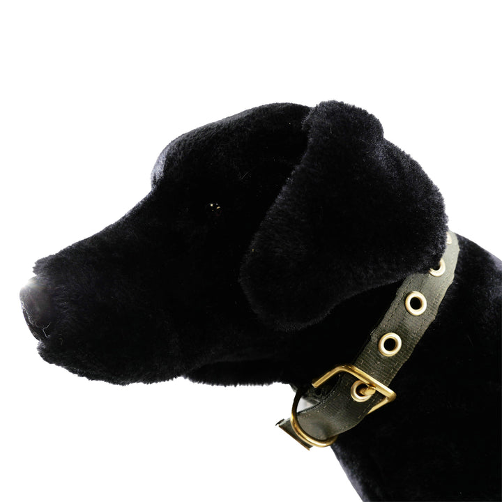 Olive colored seatbelt dog collar with brass hardware