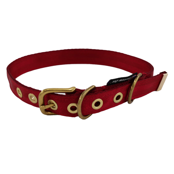 Red colored seatbelt dog collar with brass hardware