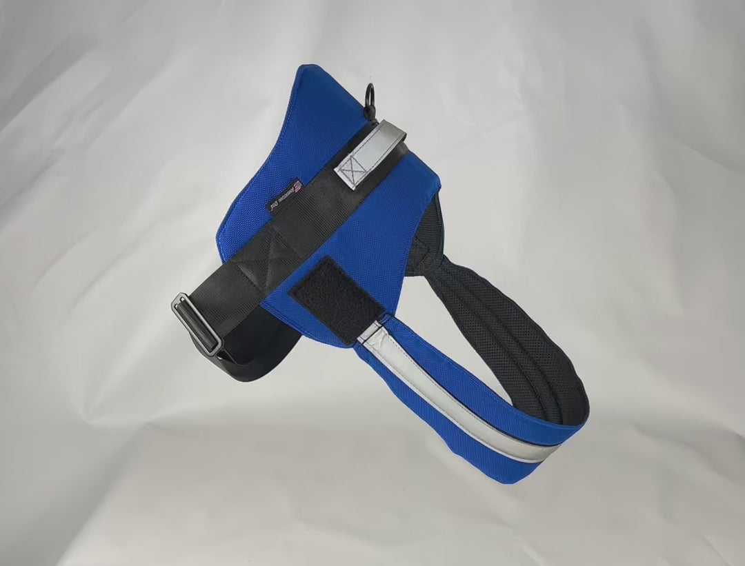 Royal blue harness pic 2