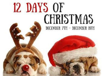 12 Days of Christmas