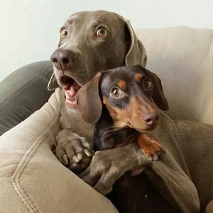February "Caption This" Contest!!!