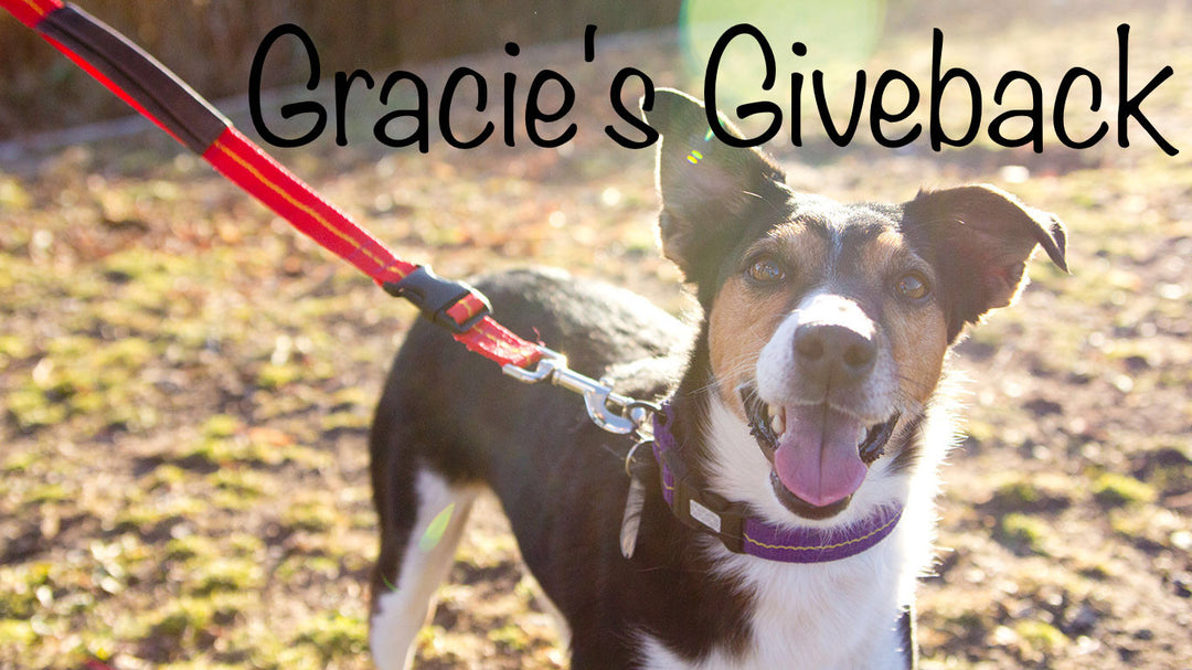 Gracie’s Giveback Recipient – Unleashed Pet Rescue and Adoption