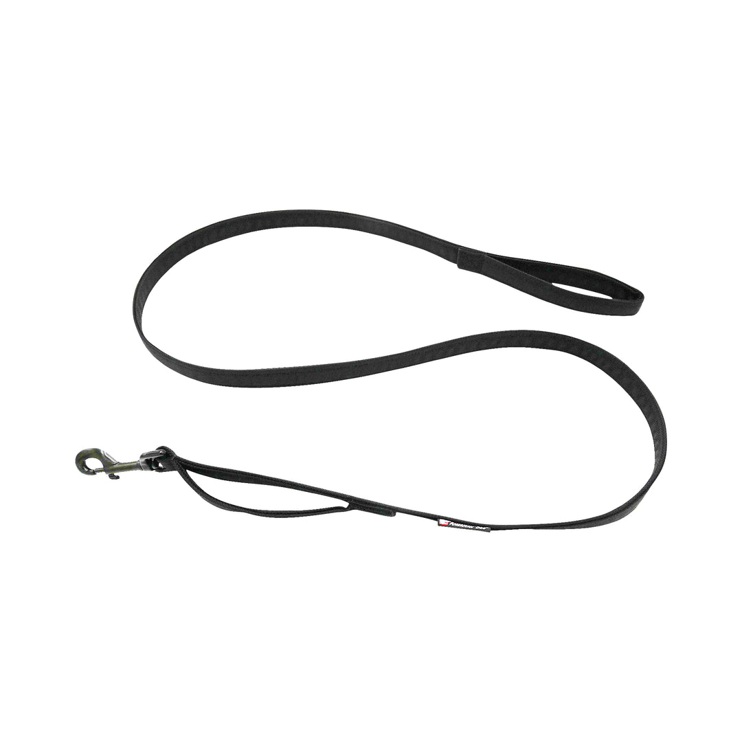 Black leash with 2 handles