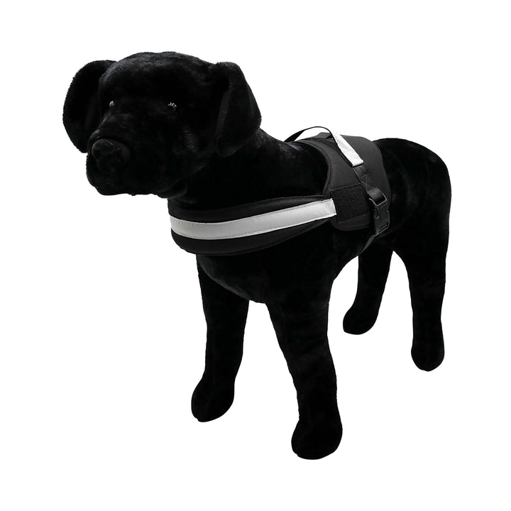 Black dog with black harness pic 2