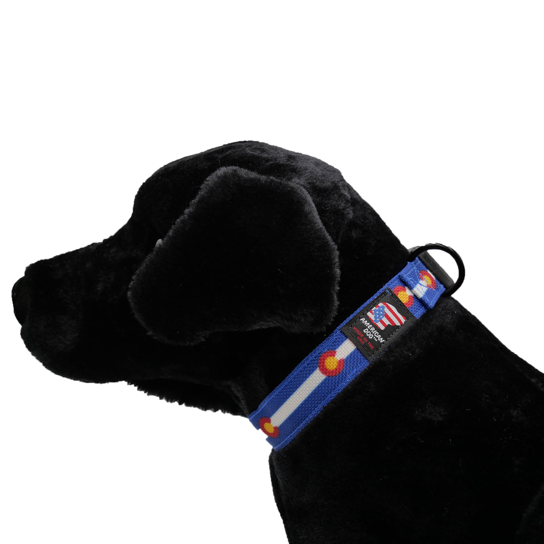 Black dog with Colorado print collar