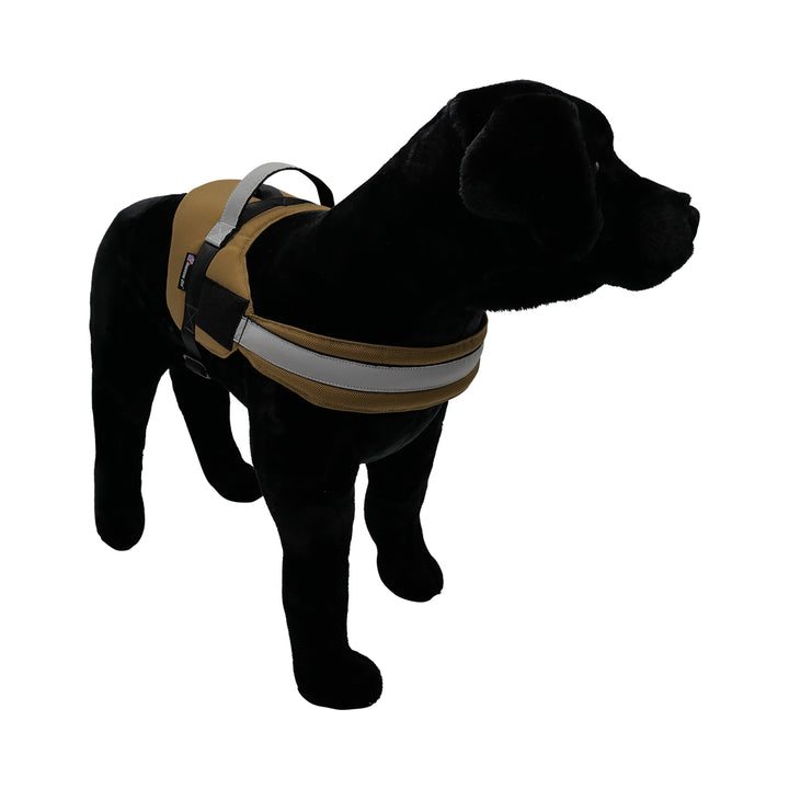 Black dog with coyote harness pic 3