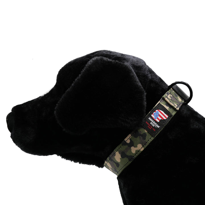 Black dog with green bone print collar
