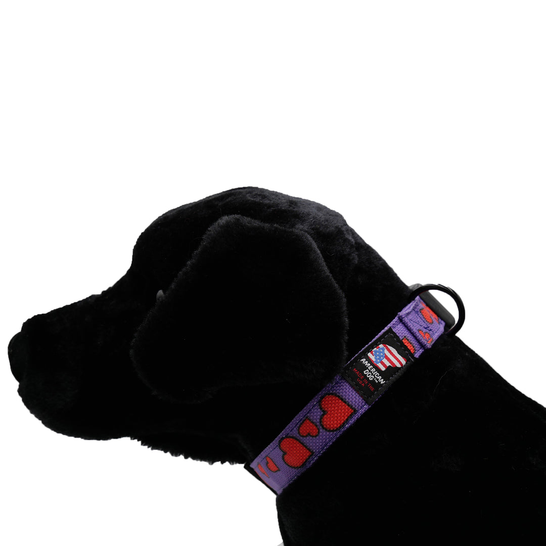 Black dog with lavendar heart print collar