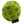 Green pickle ball dog toy