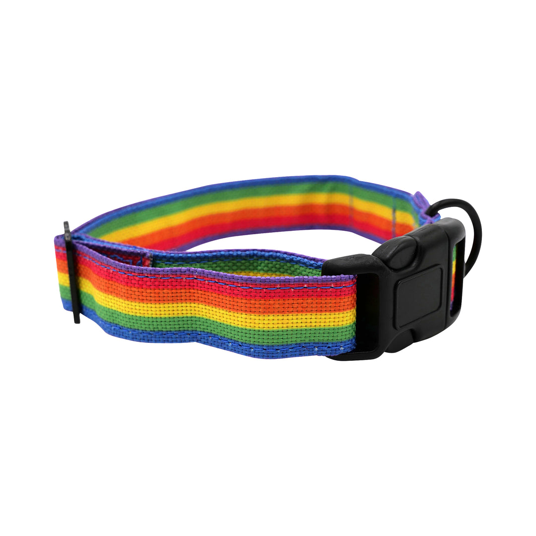 Rainbow print collar pic 2