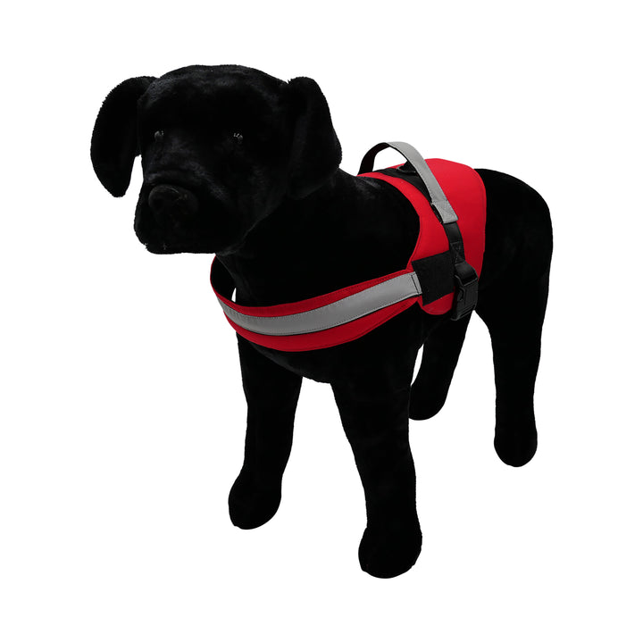 Black dog with red harness pic 2