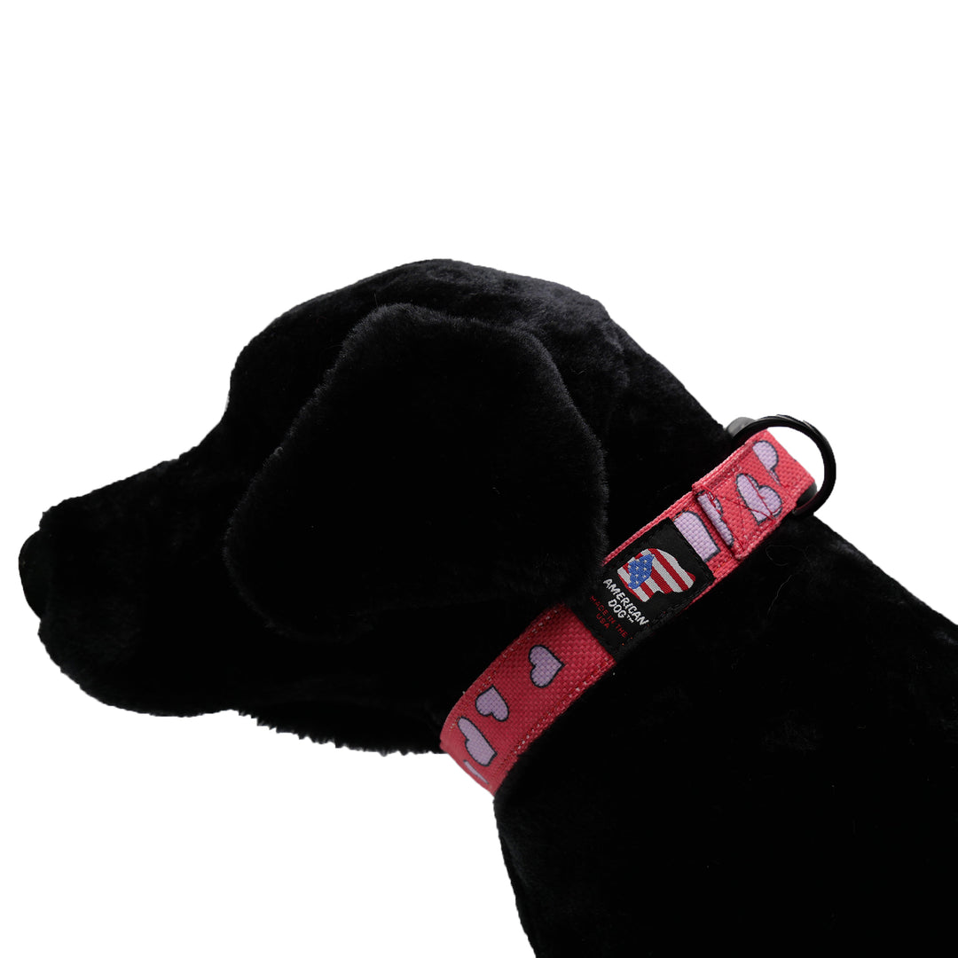 Black dog with heart print collar
