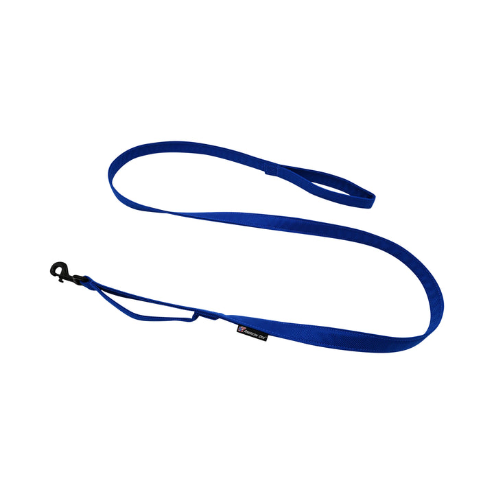 Blue leash with 2 handles