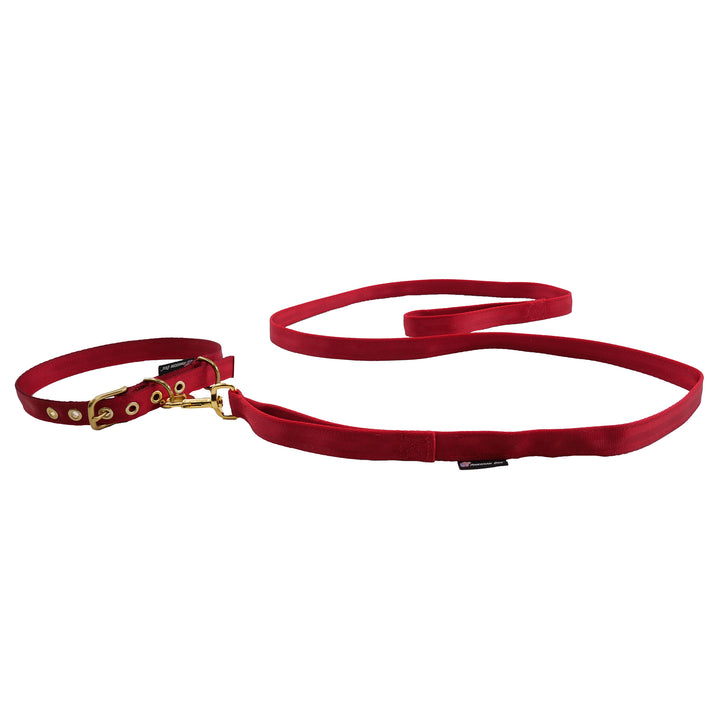 Red seatbelt leash and collar