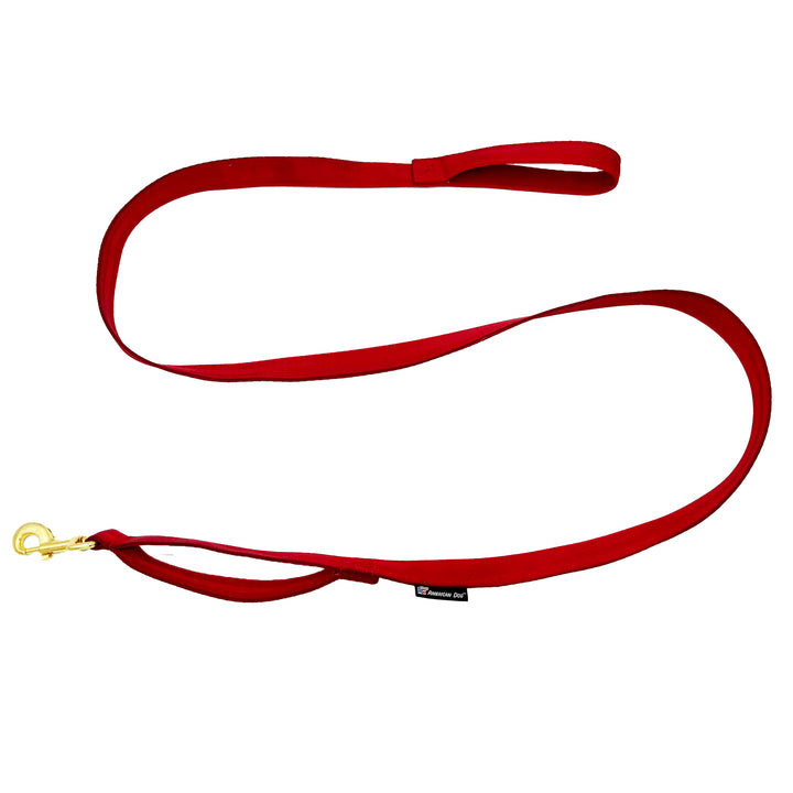 Red seatbelt leash