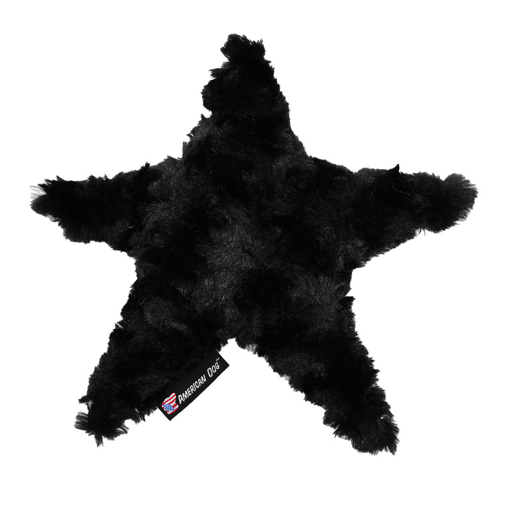 Stanley Starfish