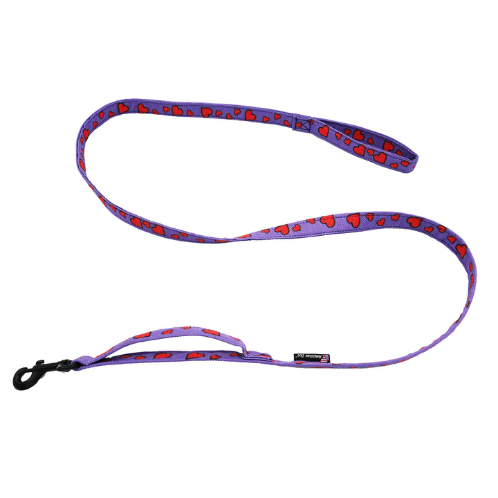 Leashes.  Ballistic Solids or Design Prints