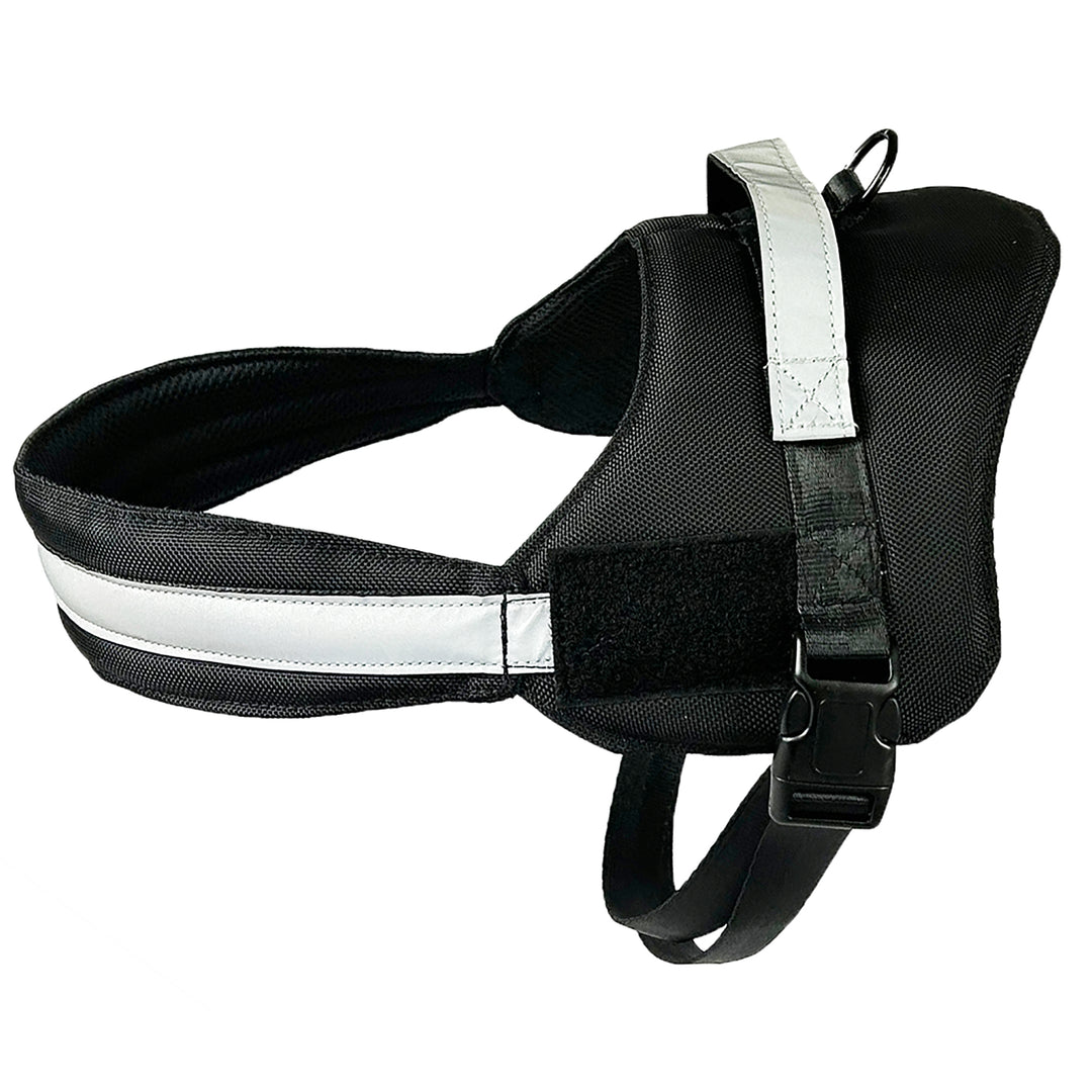 Black harness pic 1