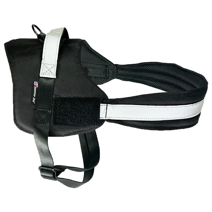 Black harness pic 3