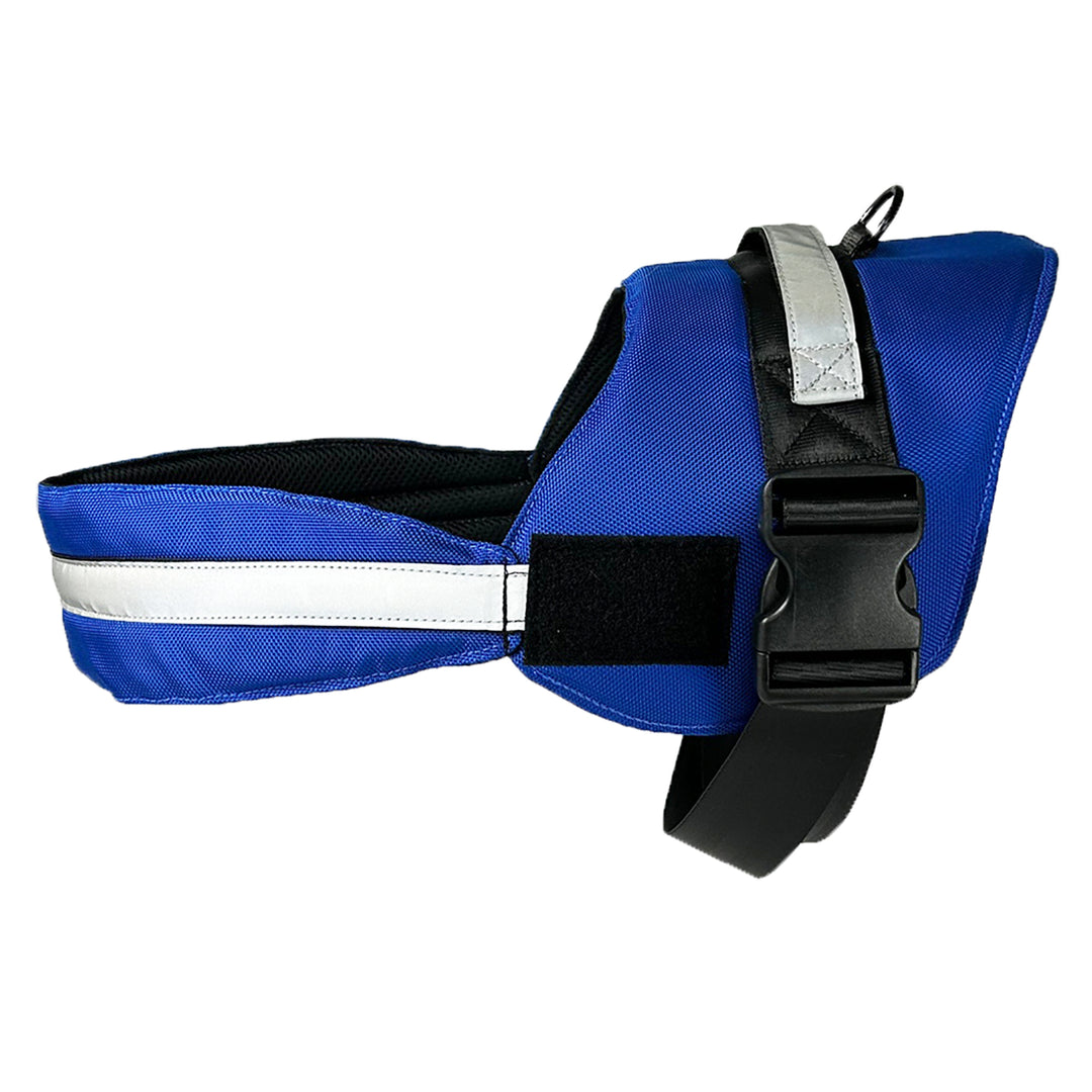 Royal blue harness pic 1