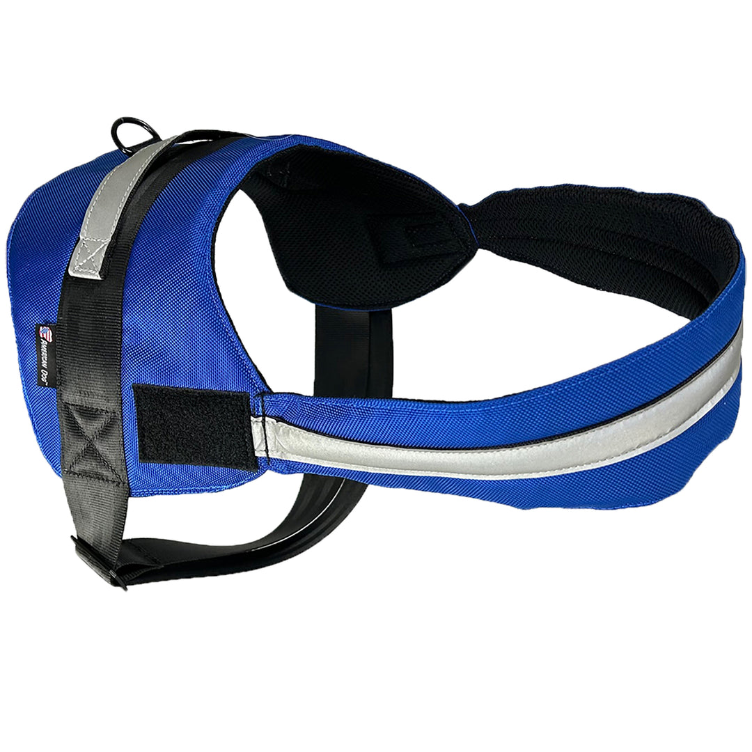 Royal blue harness pic 3