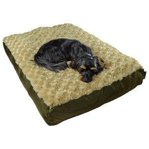 black dog lying on a camel colored fleece dog bed