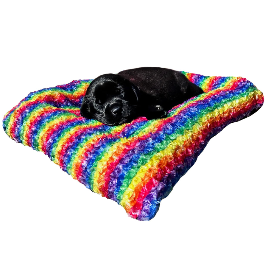 Black dog lying on a colorful rainbow dog bed against a white background