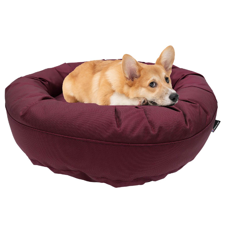 Maroon round bolstered dog bed with a Corky laying in it 