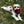 Nuggle Ball
