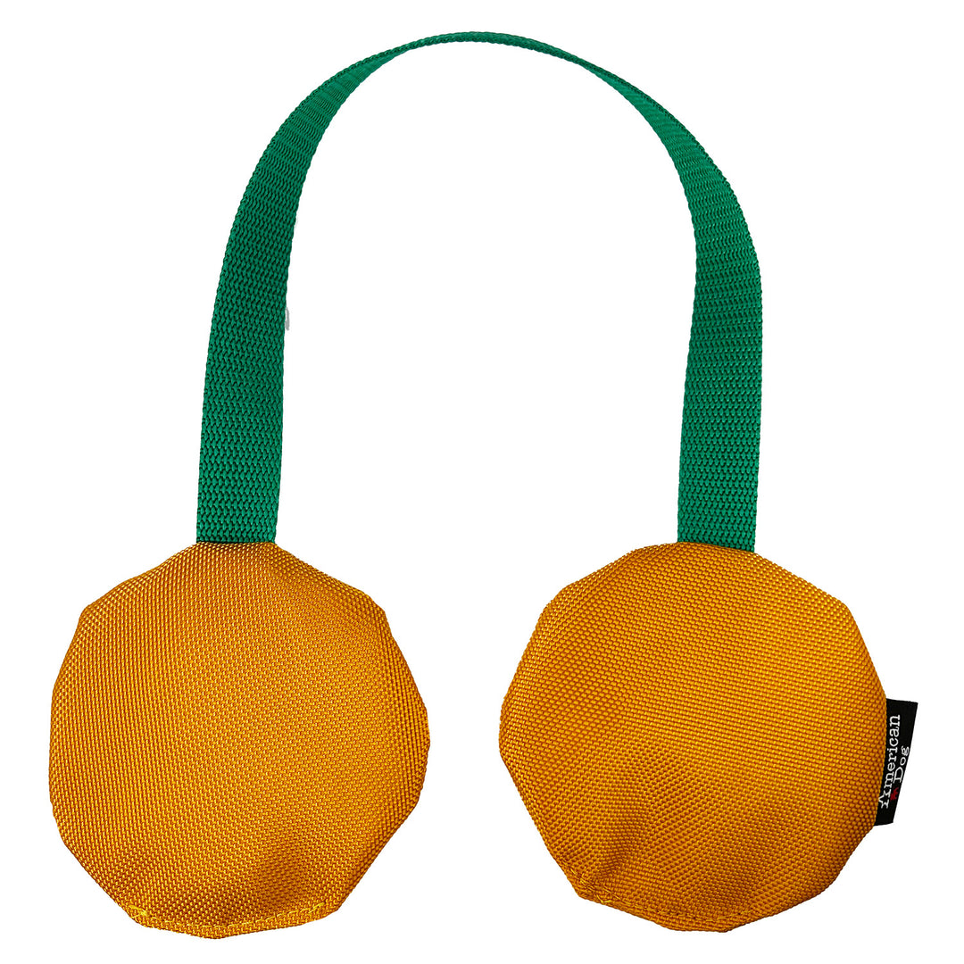 Dog toy with two gold colored discs with a green handle 
