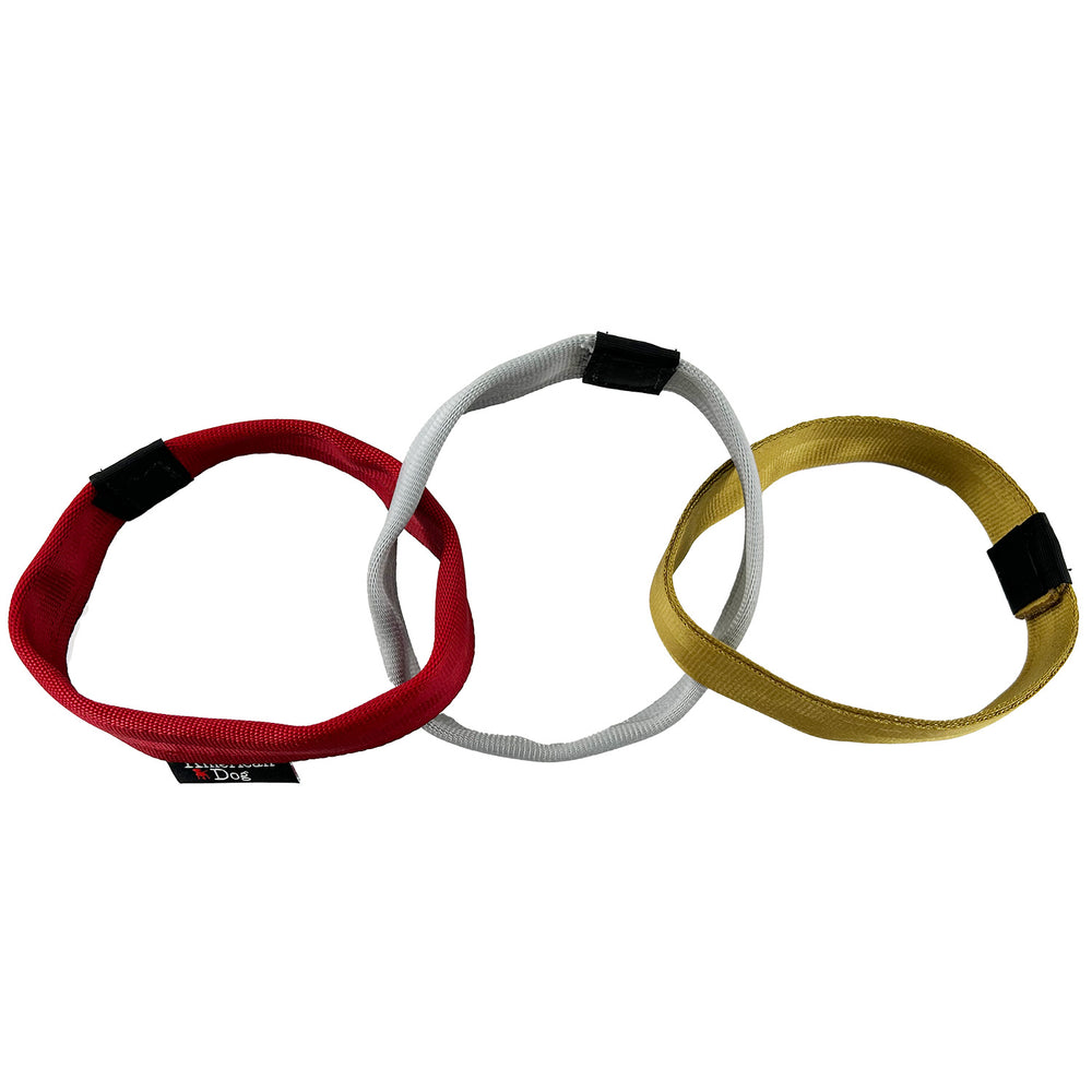Three connected seat belt web rings of red, silver & gold.