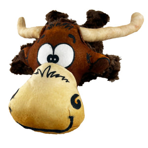 Lanny Longhorn