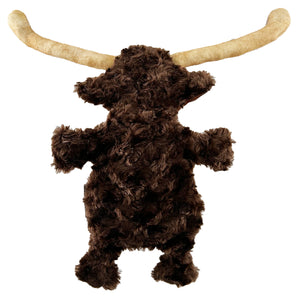 Lanny Longhorn