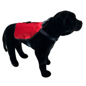 Black dog wearing a red training vest  