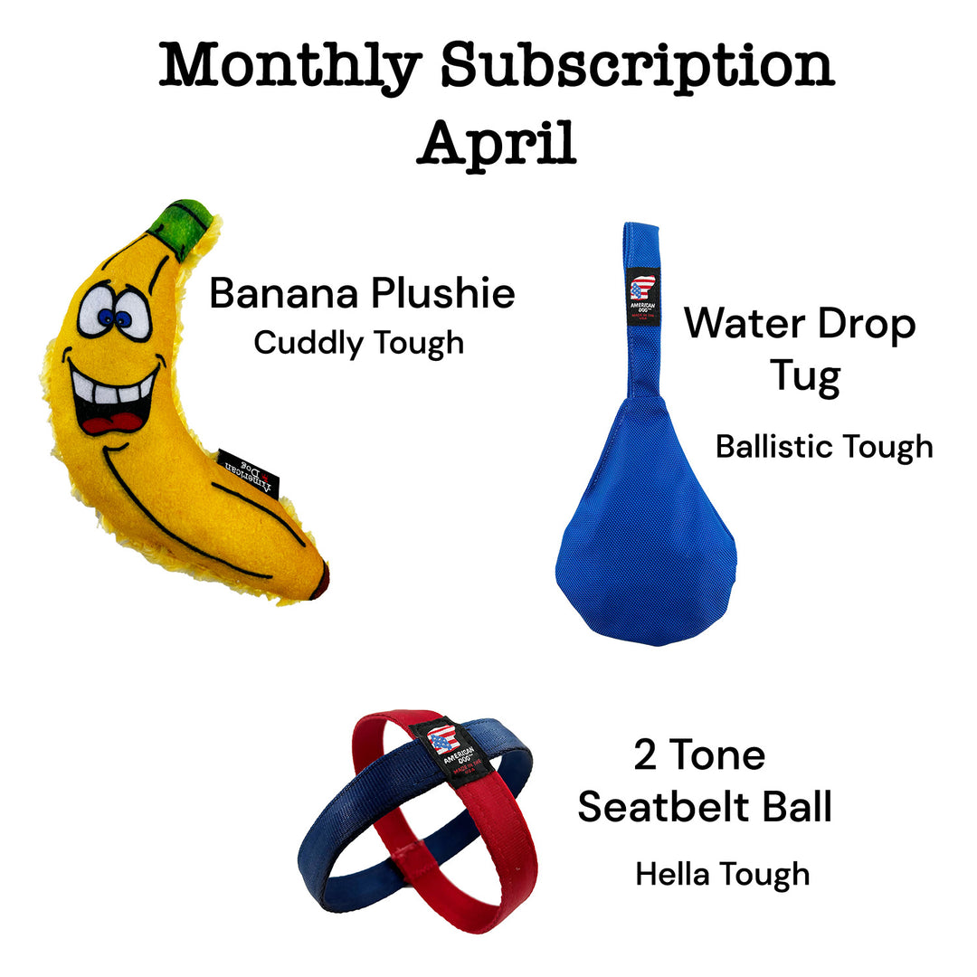 Lucky Dog $7 Monthly Toy Subscription