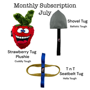 Lucky Dog $9 Monthly Toy Subscription