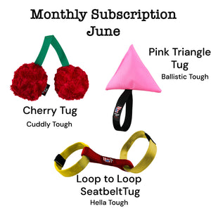 cherry shaped dog toy with a pink triangle with a black handle and to golden loops connected with a red band