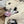 A white dog lying on a blanket and cuddling a plush cow toy with a pink snout and a cartoon face