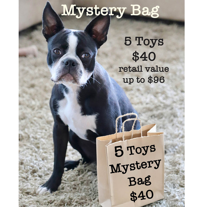 Mystery Bags